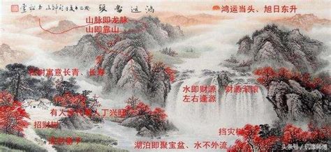 滿天星風水|滿天星乾花擺放在客廳還是房間比較好 風水寓意何在